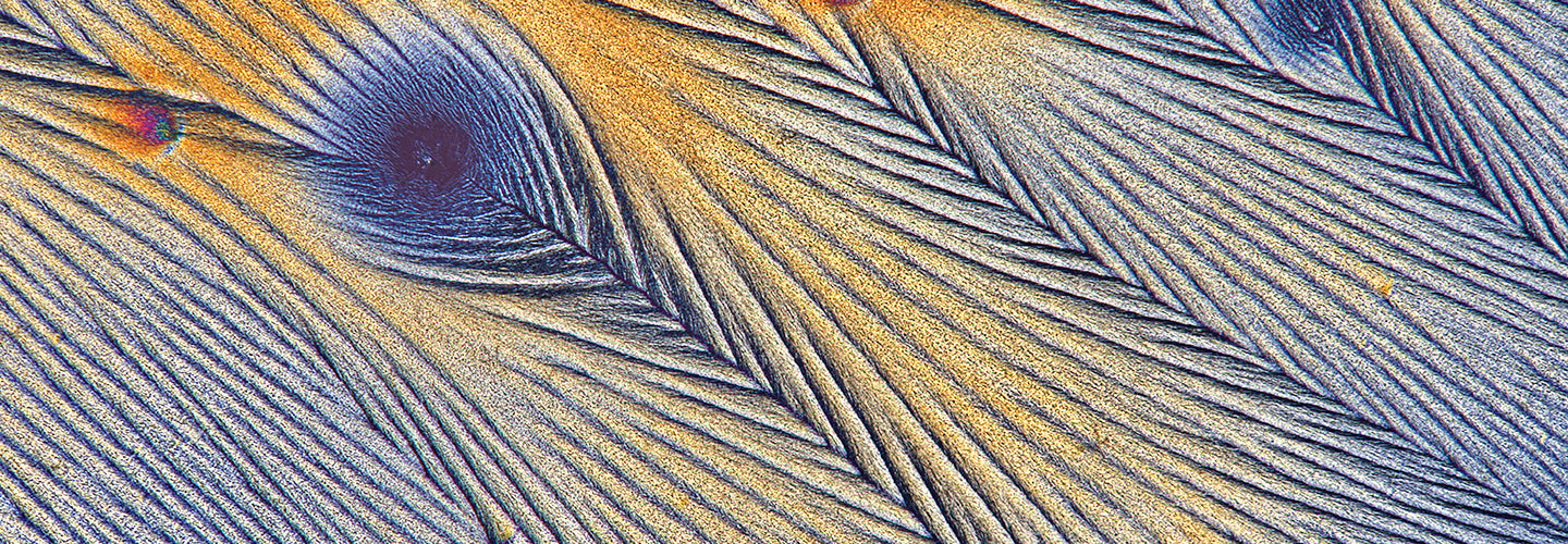 background texture